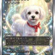 ヒメ日記 2025/12/18 11:29 投稿 桜木あの ゴシップガール～淑女不倫～