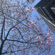 ヒメ日記 2026/03/01 09:33 投稿 なつの エロティックマッサージ 新橋