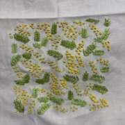 ヒメ日記 2024/12/12 20:45 投稿 おな もんぜつちじょ本店