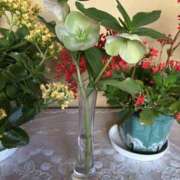 ヒメ日記 2025/04/06 20:59 投稿 おな もんぜつちじょ本店