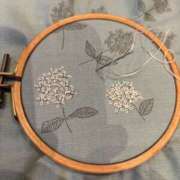 ヒメ日記 2025/05/09 18:19 投稿 おな もんぜつちじょ本店