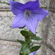 ヒメ日記 2025/07/18 22:09 投稿 おな もんぜつちじょ本店