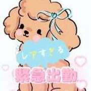 ヒメ日記 2025/11/06 09:38 投稿 ゆら 丸妻 横浜本店