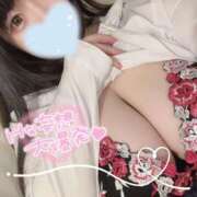 ヒメ日記 2025/09/12 12:10 投稿 熊井 BBW名古屋店