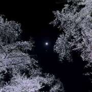 ヒメ日記 2025/04/09 18:33 投稿 なえ スピード梅田店