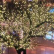 ヒメ日記 2024/12/15 19:38 投稿 さおり 完熟ばなな神戸・三宮店