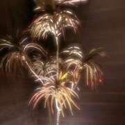 ヒメ日記 2024/12/21 00:58 投稿 さおり 完熟ばなな神戸・三宮店