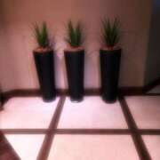 ヒメ日記 2025/03/06 22:59 投稿 さおり 完熟ばなな神戸・三宮店