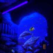 ヒメ日記 2025/03/28 22:09 投稿 さおり 完熟ばなな神戸・三宮店