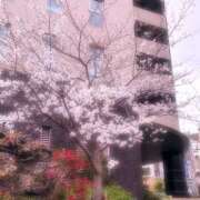 ヒメ日記 2025/03/30 21:31 投稿 さおり 完熟ばなな神戸・三宮店