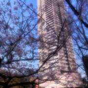 ヒメ日記 2025/04/06 21:13 投稿 さおり 完熟ばなな神戸・三宮店