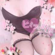 ヒメ日記 2025/02/13 10:01 投稿 ロア バニーコレクション千葉栄町店