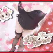 ヒメ日記 2026/04/15 08:01 投稿 ロア バニーコレクション千葉栄町店