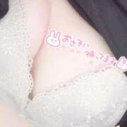 ヒメ日記 2026/04/20 09:00 投稿 ロア バニーコレクション千葉栄町店