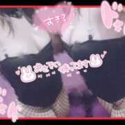 ヒメ日記 2026/04/20 13:00 投稿 ロア バニーコレクション千葉栄町店