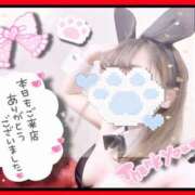 ヒメ日記 2026/05/01 19:01 投稿 ロア バニーコレクション千葉栄町店