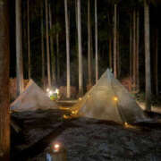 ヒメ日記 2025/12/30 20:10 投稿 けいか 奥鉄オクテツ東京店（デリヘル市場）