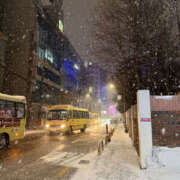 ヒメ日記 2026/01/23 22:20 投稿 けいか 奥鉄オクテツ東京店（デリヘル市場）