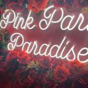 らら【バニーガール】 らら VIVID CREW Pink Party Paradise