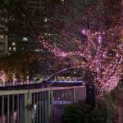 ヒメ日記 2024/12/14 19:48 投稿 広沢(ひろさわ) 熟女出逢い会『百合の園』目黒店