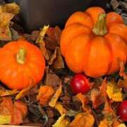 ヒメ日記 2025/09/12 22:58 投稿 広沢(ひろさわ) 熟女出逢い会『百合の園』目黒店