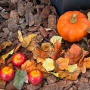 ヒメ日記 2025/10/20 10:58 投稿 広沢(ひろさわ) 熟女出逢い会『百合の園』目黒店