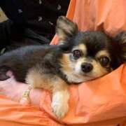 ヒメ日記 2025/10/25 23:30 投稿 広沢(ひろさわ) 熟女出逢い会『百合の園』目黒店