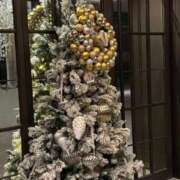 ヒメ日記 2025/11/21 11:48 投稿 広沢(ひろさわ) 熟女出逢い会『百合の園』目黒店