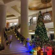 ヒメ日記 2025/11/28 11:38 投稿 広沢(ひろさわ) 熟女出逢い会『百合の園』目黒店