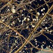 ヒメ日記 2025/12/11 18:58 投稿 広沢(ひろさわ) 熟女出逢い会『百合の園』目黒店