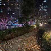 ヒメ日記 2025/12/20 14:28 投稿 広沢(ひろさわ) 熟女出逢い会『百合の園』目黒店