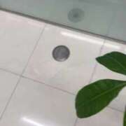 ヒメ日記 2026/03/07 17:08 投稿 広沢(ひろさわ) 熟女出逢い会『百合の園』目黒店