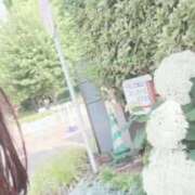 ヒメ日記 2026/06/12 23:48 投稿 広沢(ひろさわ) 熟女出逢い会『百合の園』目黒店