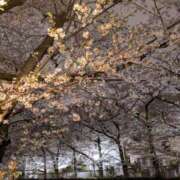 ヒメ日記 2025/04/03 21:34 投稿 要(かなめ) 熟女の風俗最終章　鶯谷店