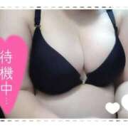 ヒメ日記 2025/02/13 17:18 投稿 りさ ぽっちゃり巨乳素人専門横浜関内伊勢佐木町ちゃんこ