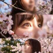 ヒメ日記 2026/04/22 17:06 投稿 ゆい(9000) 原価デリヘルcospa（コスパ）