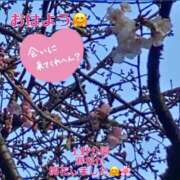 ヒメ日記 2025/02/27 11:09 投稿 こはく 完熟ばなな 上野店