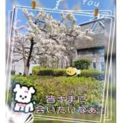 ヒメ日記 2025/03/31 00:01 投稿 こはく 完熟ばなな 上野店