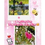 ヒメ日記 2025/05/16 13:10 投稿 こはく 完熟ばなな 上野店