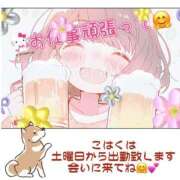 ヒメ日記 2025/06/19 15:01 投稿 こはく 完熟ばなな 上野店