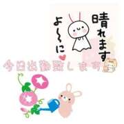 ヒメ日記 2025/06/25 11:50 投稿 こはく 完熟ばなな 上野店