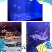 ヒメ日記 2025/07/09 22:50 投稿 こはく 完熟ばなな 上野店