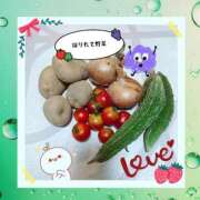 ヒメ日記 2025/07/27 23:50 投稿 こはく 完熟ばなな 上野店