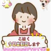 ヒメ日記 2025/08/26 10:01 投稿 こはく 完熟ばなな 上野店