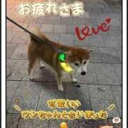 ヒメ日記 2025/09/24 00:00 投稿 こはく 完熟ばなな 上野店