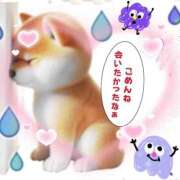 こはく お礼🙇‍♀️ 完熟ばなな 上野店