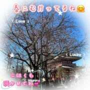 ヒメ日記 2026/02/09 23:56 投稿 こはく 完熟ばなな 上野店