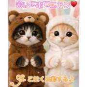 ヒメ日記 2026/02/27 23:46 投稿 こはく 完熟ばなな 上野店