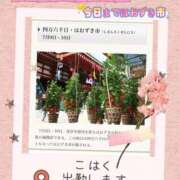 ヒメ日記 2026/07/10 10:26 投稿 こはく 完熟ばなな 上野店