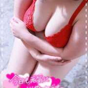 ヒメ日記 2025/04/09 11:51 投稿 りさ 新横浜ちゃんこ